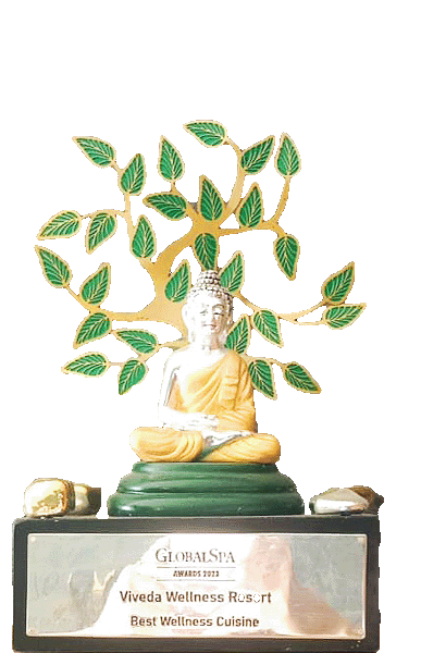 Viveda Wellness Resort Award